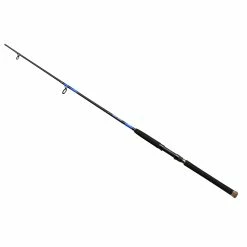 Daiwa Beefstick Boat Fishing Rod