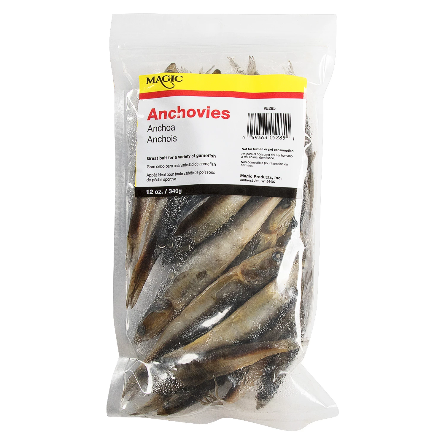 Magic Preserved Anchovies 3 Magic Preserved Anchovies