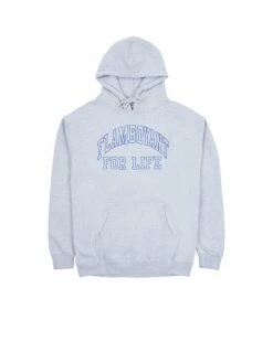 13 Fishing Shop -13 Fishing Shop pleasures flamboyant hoody p22f067 grey 1