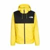 The North Face MOUNTAIN Q JACKET